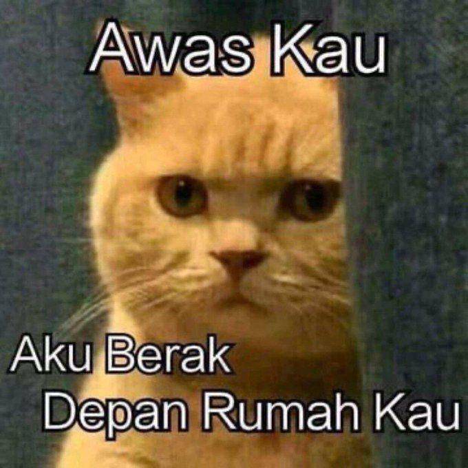 kucing101LOL