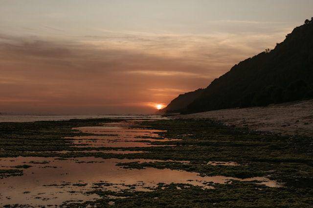 pantai kenjeran