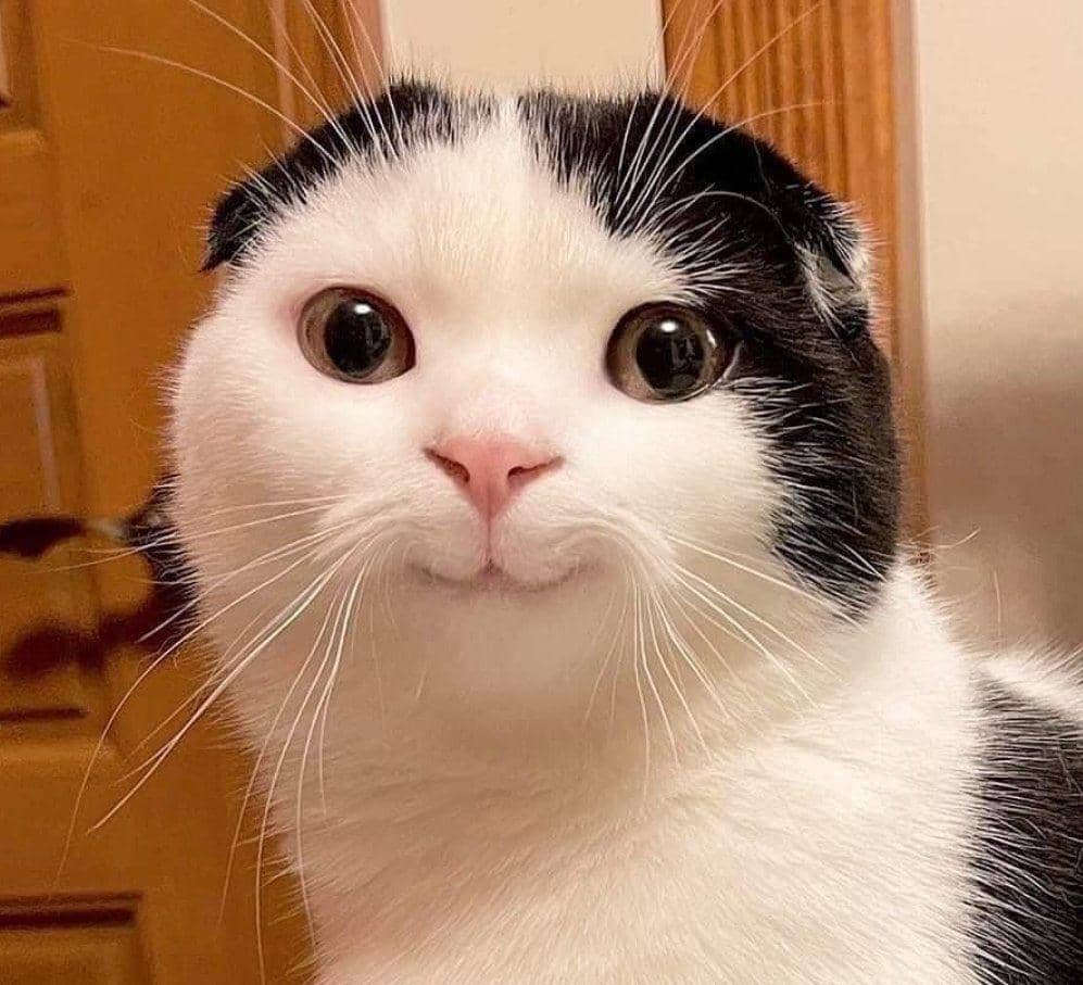 Dolore molestiae corporis non neque quo architecto