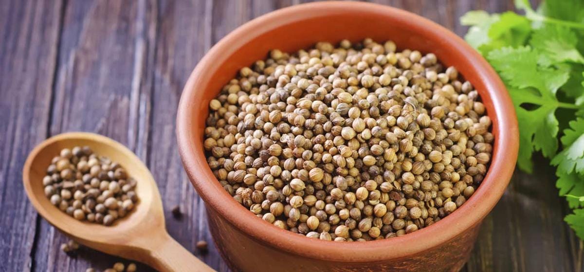 https://cdn.idntimes.com/content-images/post/20170207/10-unexpected-side-effects-of-coriander-seeds1-6c136421d30b7e22f336437c8242980d.jpg