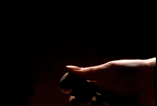 http://cdn.idntimes.com/content-images/post/20150923/13.gif