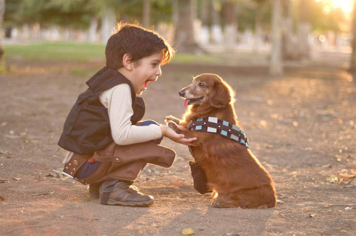 https://cdn.idntimes.com/content-images/post/20170418/151125-kid-with-dog-yh-1230p-a1d5c6f352b67e37690c51559fbcc4ccnbcnews-ux-2880-1000-a32440474d4b10842c98600dbfb98d90.jpg