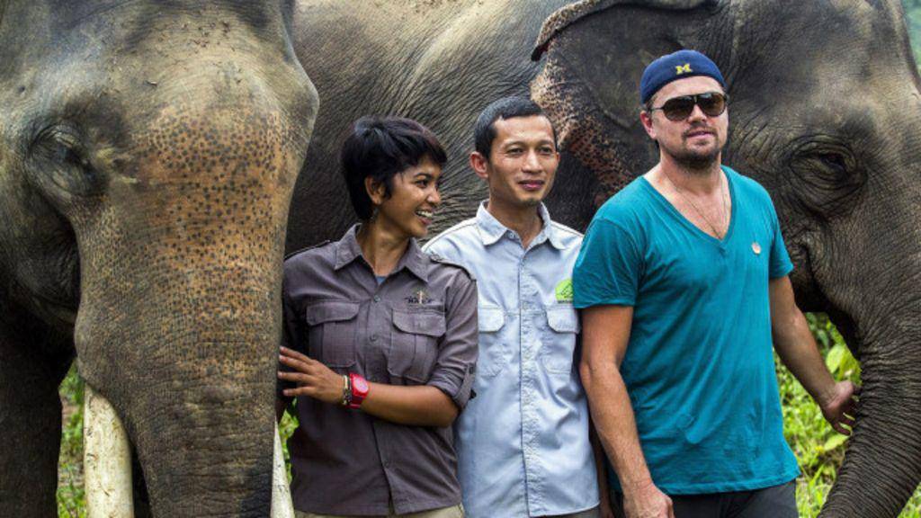 https://cdn.idntimes.com/content-images/post/20170119/160329164838-leonardo-dicaprio-aceh-640x360-epa-nocredit-12651a67bd68efa1f1250abb232bf316.jpg