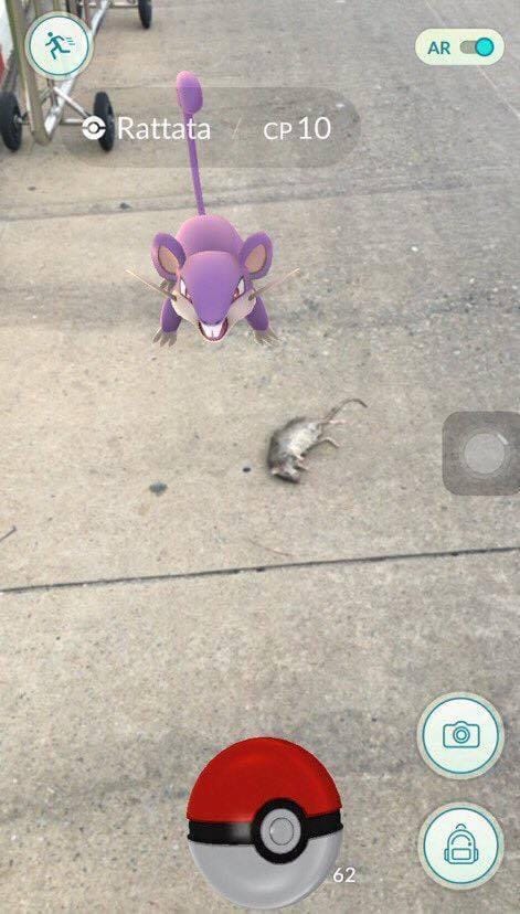 http://cdn.idntimes.com/content-images/post/20160719/17-rattata-friends-death-87120ebae13214cc97e03687354f448e.jpg