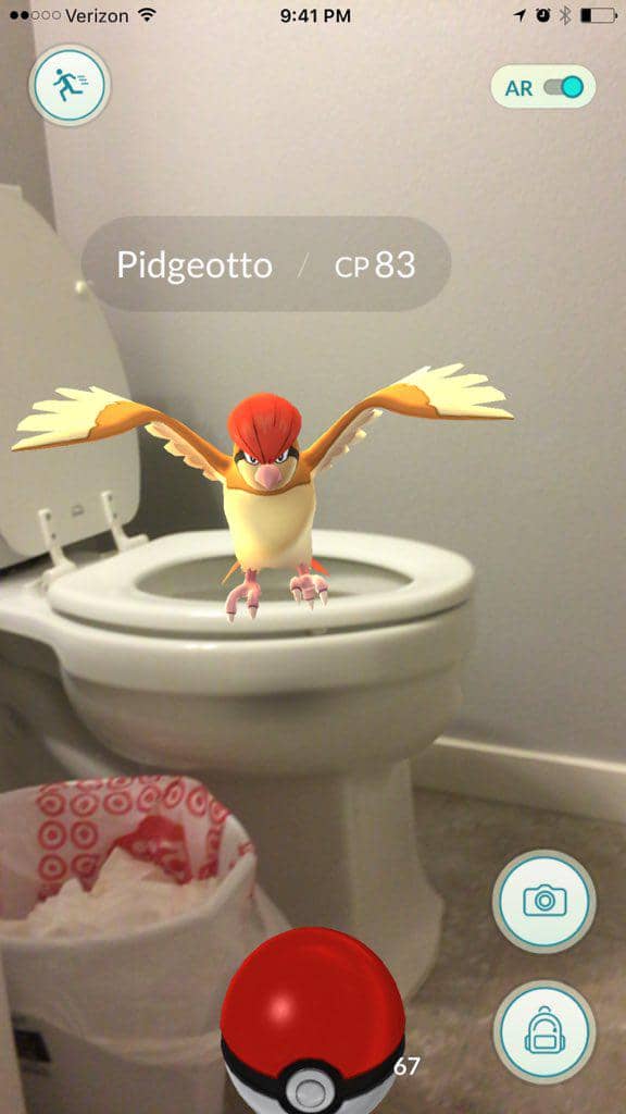 http://cdn.idntimes.com/content-images/post/20160719/25-toilet-bird-782a382b64c2592f24d14226888ebb06.jpg