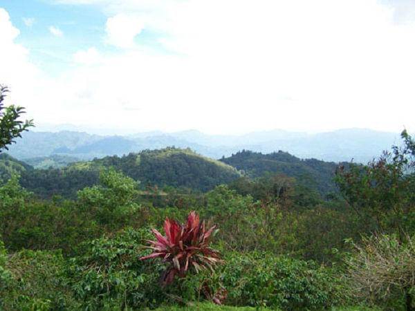http://cdn.idntimes.com/content-images/post/old/31142-Toraja6_jotravelguidecom.jpg