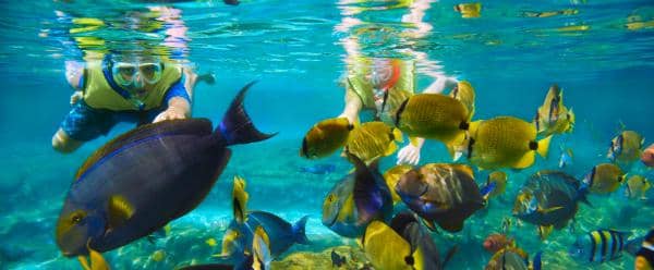 http://cdn.idntimes.com/content-images/post/old/37f78-7_parksandresorts_wdpromedia.jpg