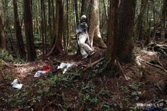 http://cdn.idntimes.com/content-images/post/20160331/3aokigahara-7a41b5d7d8bdebe6a4343f3b06c0f569.jpg