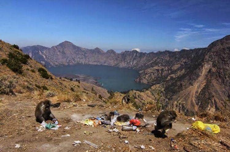 http://cdn.idntimes.com/content-images/post/old/4cdc2-rinjani_harryhermanan.blogspotcom.jpg