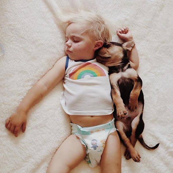 http://cdn.idntimes.com/content-images/post/old/6f2f5-29_boredpanda.jpg