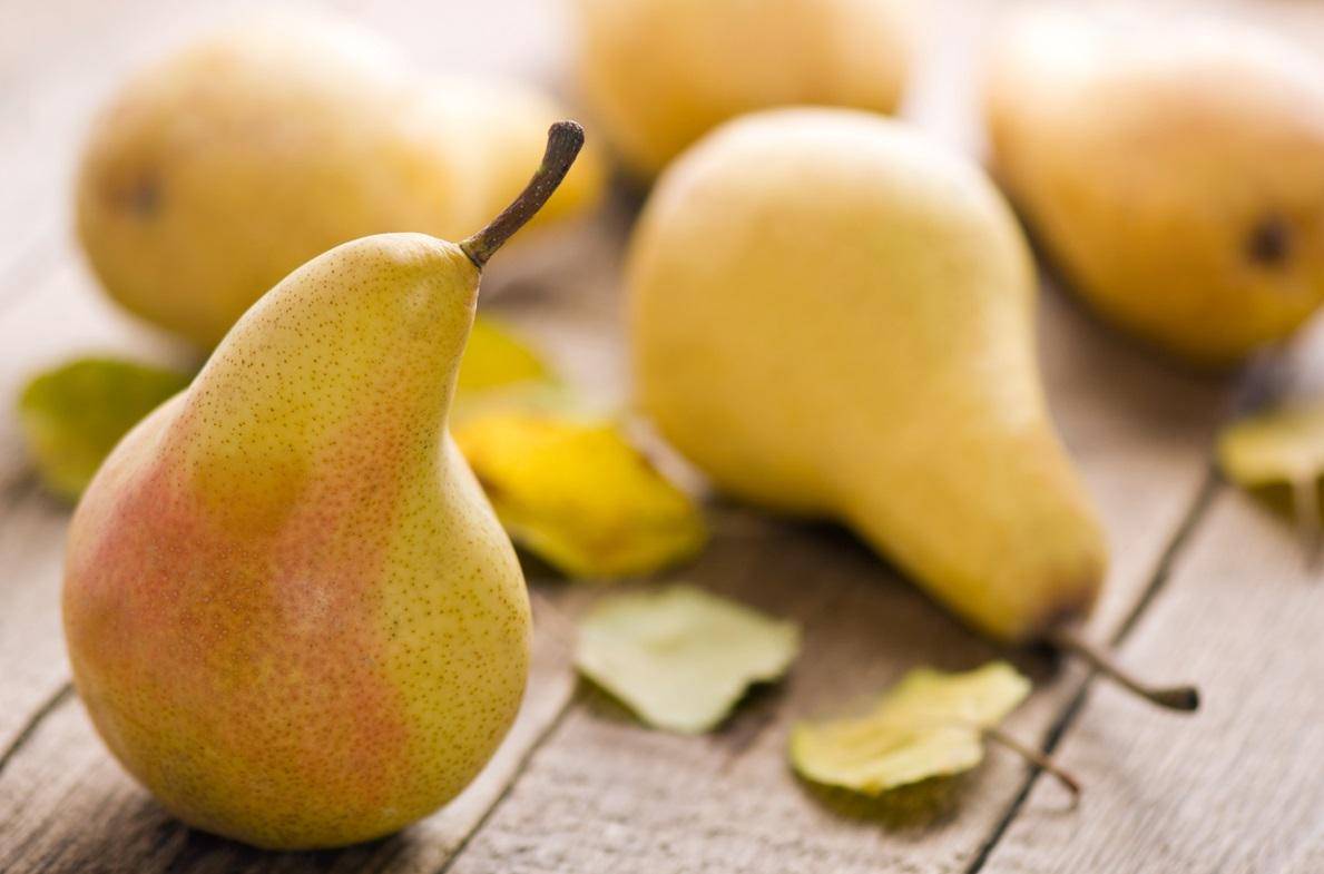https://cdn.idntimes.com/content-images/post/20161010/7-buah-pir-92fddb592b1b14457cd8a73db8d34ef8.jpg