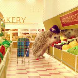 http://cdn.idntimes.com/content-images/post/old/77e5d-12b_giphy.gif