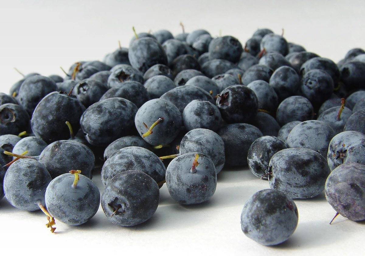 https://cdn.idntimes.com/content-images/post/20160926/acai-berry-9dbde7883d554c574ada2c24b92f7f54.jpg
