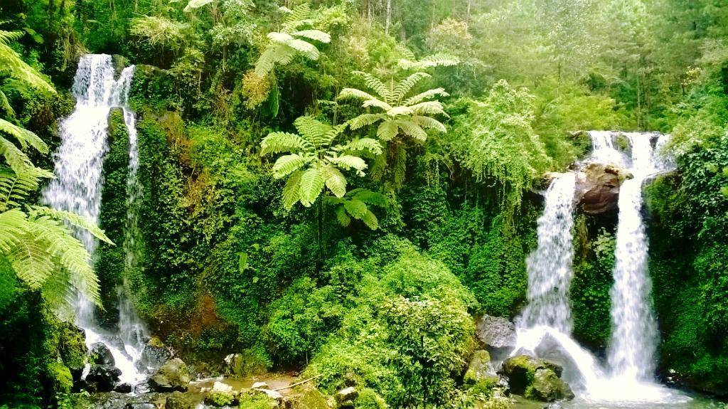 http://cdn.idntimes.com/content-images/post/20160301/air-terjun-kembar-kampung-anyar-3-a446f10d068005e5123f77dd935bd604.jpg