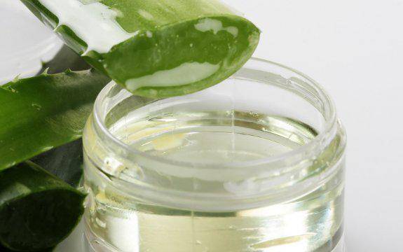 https://cdn.idntimes.com/content-images/post/20170517/aloevera-e7eec1cd361383e7fcec5f08940cfa90.jpg