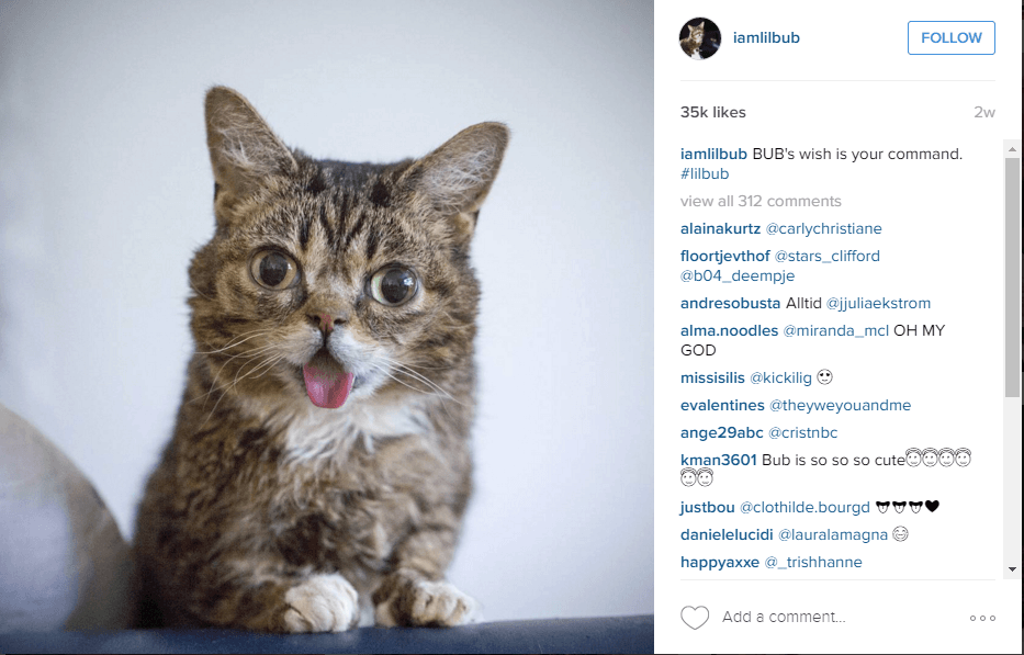 http://cdn.idntimes.com/content-images/post/20160413/amlilbub-7325ca9165a39ea4ef4faea3fa5e0185.png