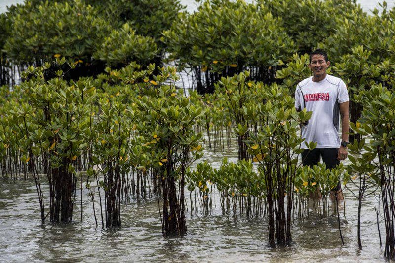 https://cdn.idntimes.com/content-images/post/20170123/antarafoto-kampanye-sandiaga-di-pulau-seribu-2100117-agr-01-1485161466-18536-fe3869781cffa998885439464fac5e77.jpg