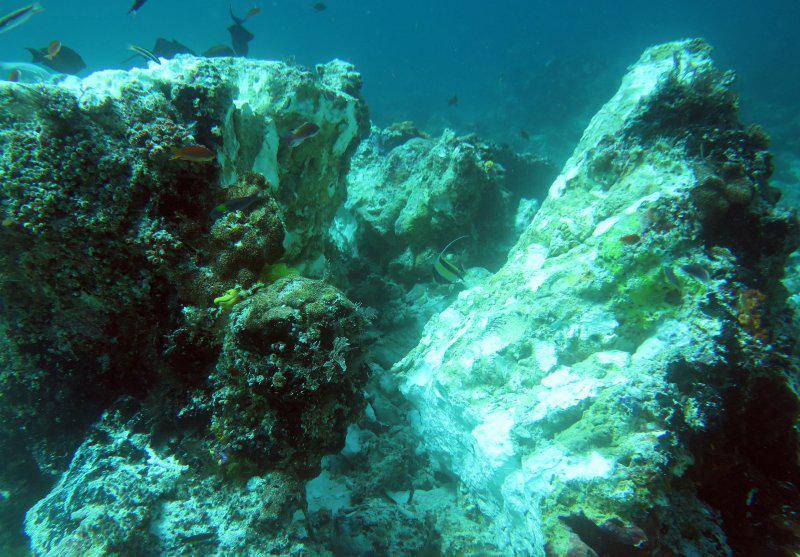 https://cdn.idntimes.com/content-images/post/20170316/antarafoto-kerusakan-terumbu-raja-ampat-140317-ho-3-1489645087-14389-53673996b7715ca8959e7e895b178b03.jpg