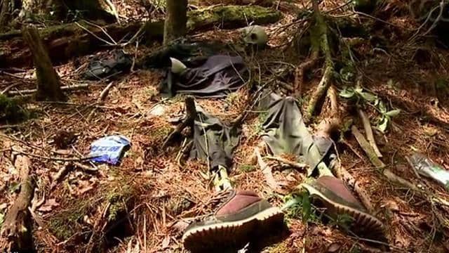http://cdn.idntimes.com/content-images/post/20160109/aokigahara-suicide-forest-1413460703427-fe38bc8591f747fac64ea60a1a16d3fb.jpeg