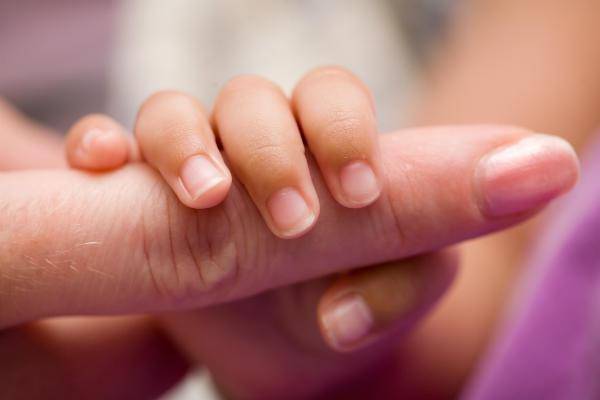 http://cdn.idntimes.com/content-images/post/old/b2041-4_keytoconceive_wordpress.jpg