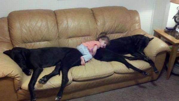 http://cdn.idntimes.com/content-images/post/old/b2042-25_cutenessoverflow.jpg