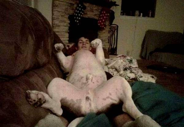 http://cdn.idntimes.com/content-images/post/old/b87be-misleading-photos-11_kickvick.jpg