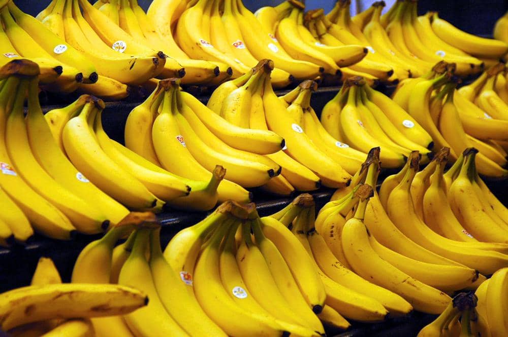 http://cdn.idntimes.com/content-images/post/20160715/bananas-eec976612794eda4da7a705e2d2579e4.jpg