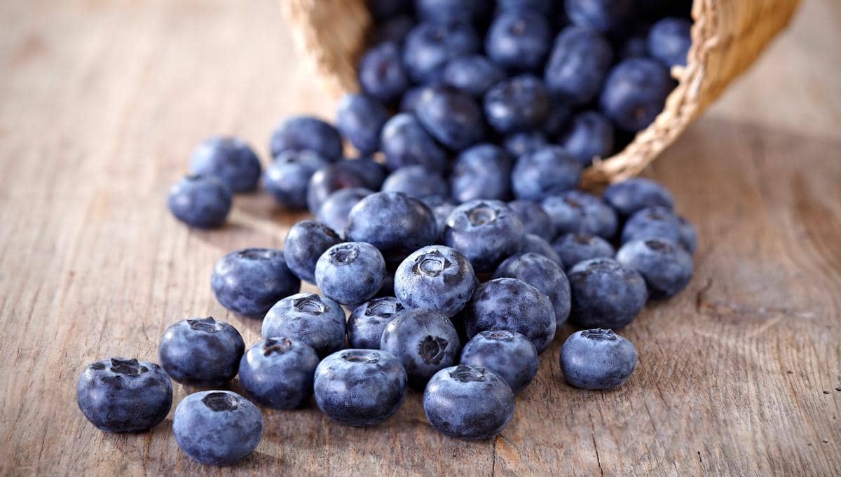 https://cdn.idntimes.com/content-images/post/20161213/basket-of-blueberries-5bff4e5f402aa169e6aea777ae67b456.jpg