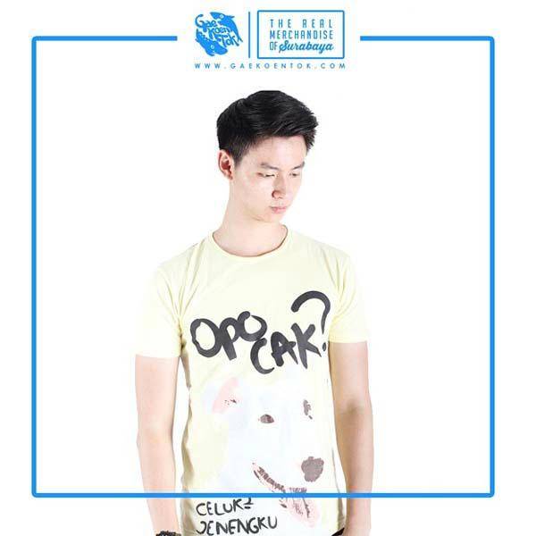 http://cdn.idntimes.com/content-images/post/old/bd4df-10_ig_gaekoentok.jpg