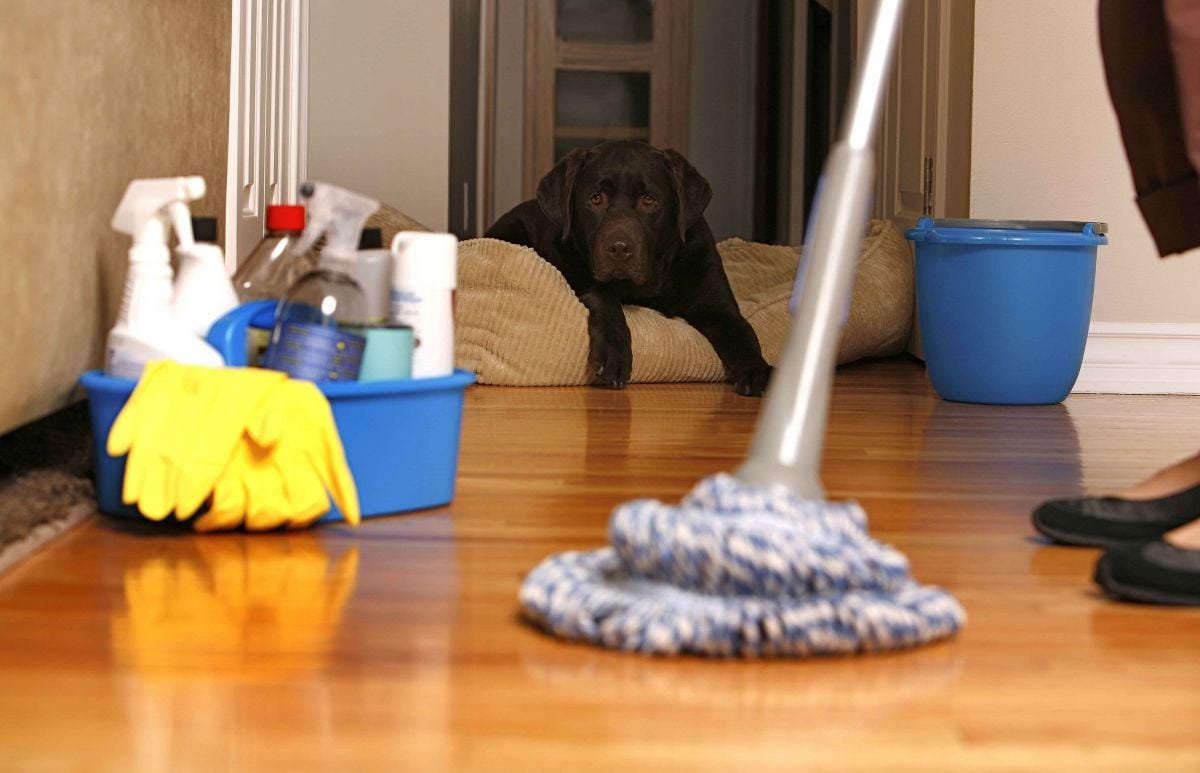 http://cdn.idntimes.com/content-images/post/20160519/cleaning-396f32b161b8ee08bc634df8fd61a718.jpg