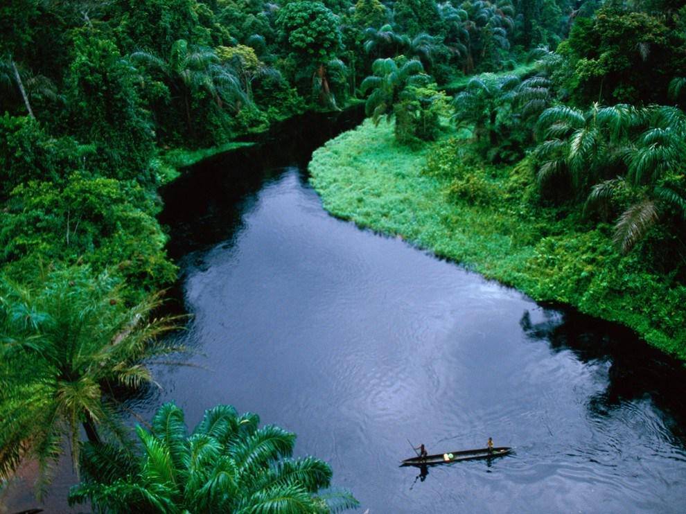 https://cdn.idntimes.com/content-images/post/20161209/congo-9bbdb7dd14ee55e1f6111d31fc99c72e.jpeg