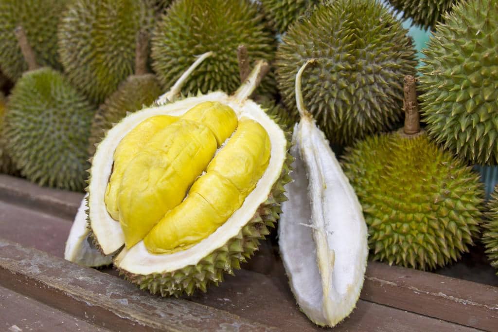 https://cdn.idntimes.com/content-images/post/20170411/durian-005-e180b8816330e93558e7cd6314a658b8.jpg