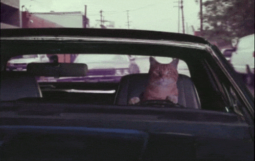 http://cdn.idntimes.com/content-images/post/old/e931a-6a_giphy.gif