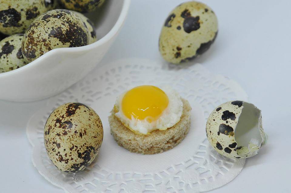 https://cdn.idntimes.com/content-images/post/20180331/egg-3240284-960-720-ace960b56ab418d23c2a93a875011b12.jpg