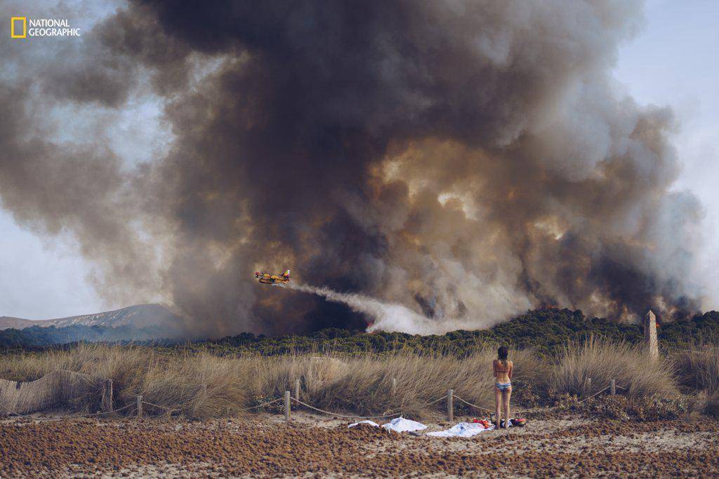 https://cdn.idntimes.com/content-images/post/20161220/environmental-issues-first-honorable-mention-wildfire-beach-4d2e51c468511394a751e2bc0b98c5d5.jpg