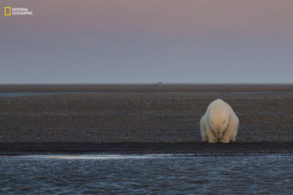 https://cdn.idntimes.com/content-images/post/20161220/environmental-issues-third-honorable-mention-snow-ice-5b517ac65d3f89a600baac48c29d0bb1.jpg