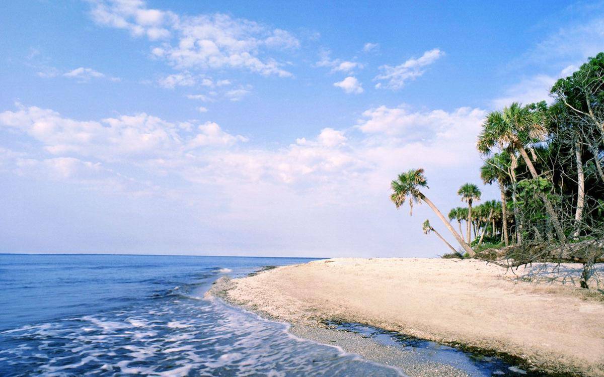 http://cdn.idntimes.com/content-images/post/20160331/florida0715-cayo-costa-travelandleisurecom-13a8ccd7b7c5803846d3800b29c04bd9.jpg