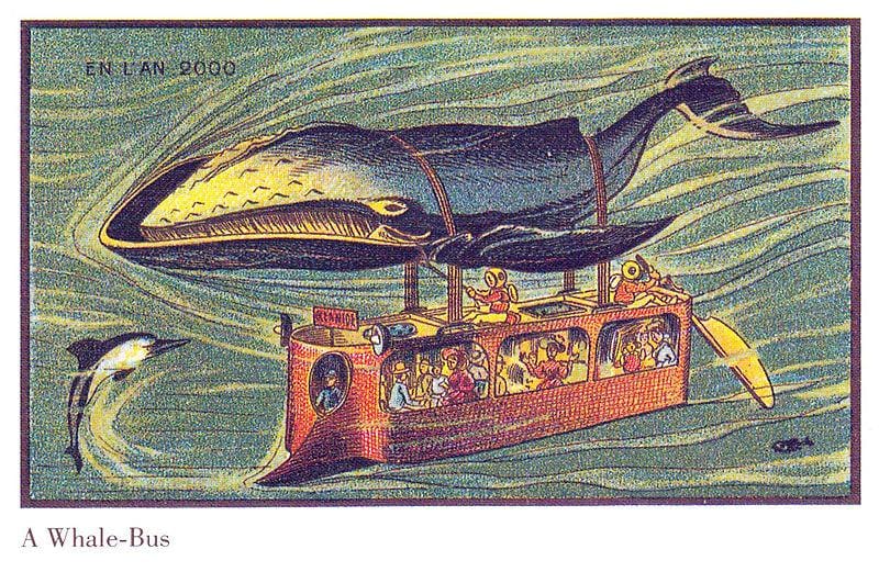 https://cdn.idntimes.com/content-images/post/20170511/france-in-xxi-century-whale-bus-485ed744fd89ed89ef245fdc3ddeb17a.jpg
