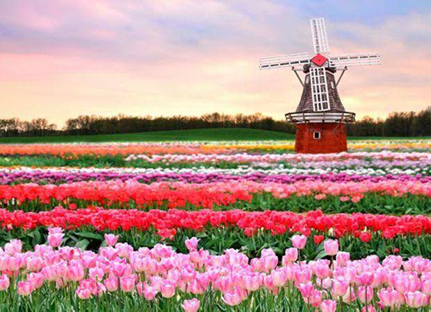 http://cdn.idntimes.com/content-images/post/20160308/ge-galamedianews-4-480c98f475ef6077a8d6a5b057f53538.jpg