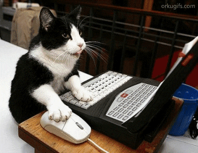 https://cdn.idntimes.com/content-images/post/20170313/giphy-5-443727782007d32937c392ac4fca3389.gif