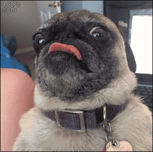 http://cdn.idntimes.com/content-images/post/20150916/giphy88.gif