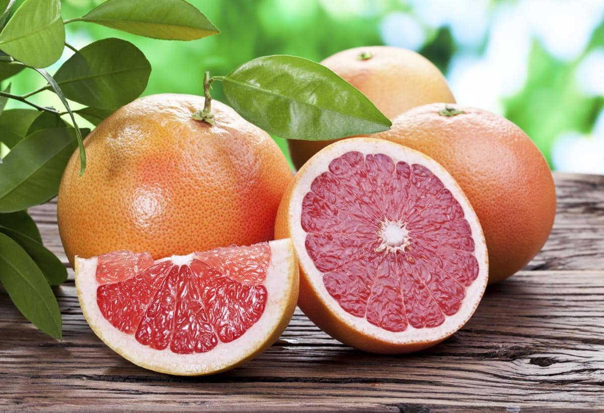 https://cdn.idntimes.com/content-images/post/20161207/grapefruit-75712c3e4f3ba843a3d56645a46f2085.jpg