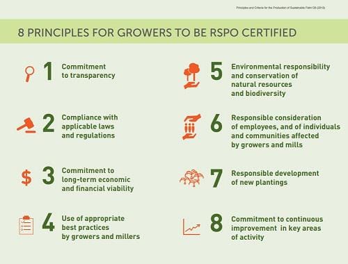 https://cdn.idntimes.com/content-images/post/20170119/greenpalmorg-about-palm-oil-rspo-principles-and-criteria-4499f156e95a19b2c448f156bd833a37.jpg