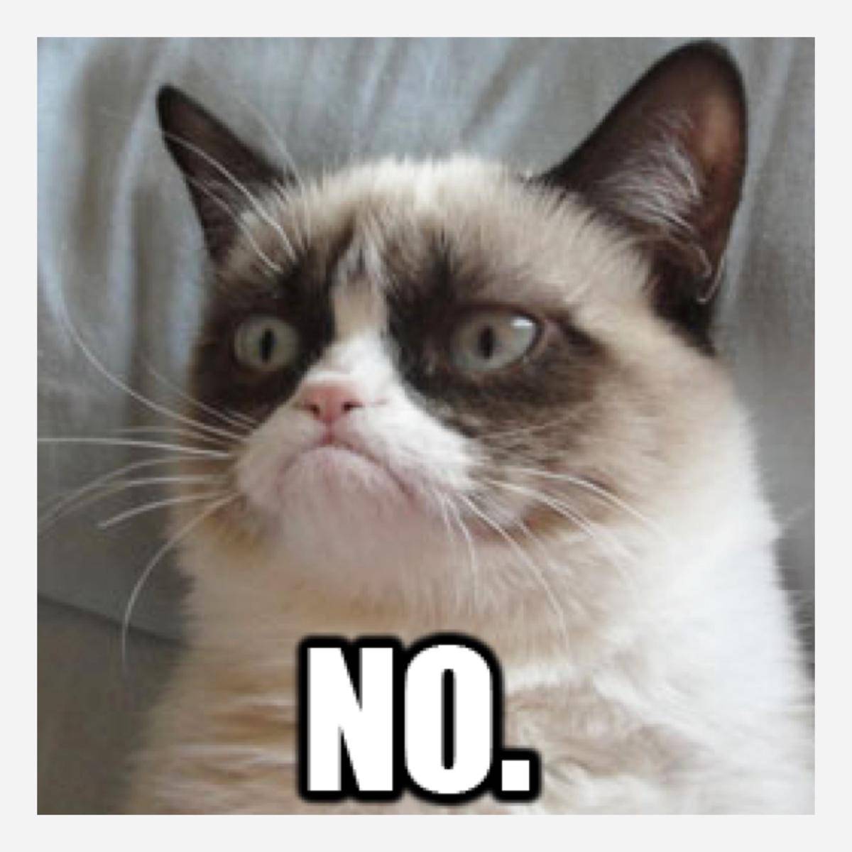 http://cdn.idntimes.com/content-images/post/20160823/grumpy-cat-06-freelargeimages-com-bc53e7bd99900899d83823870d820aea.jpg