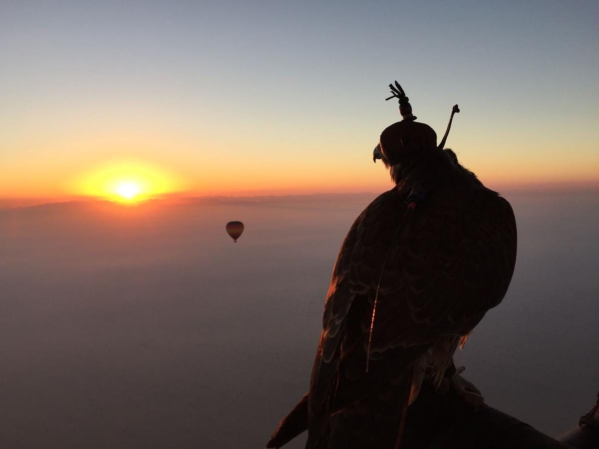 https://cdn.idntimes.com/content-images/post/20170127/hot-air-ballooning-and-falconry-dubai-18836974811e363e6867572df721b5ea.jpg