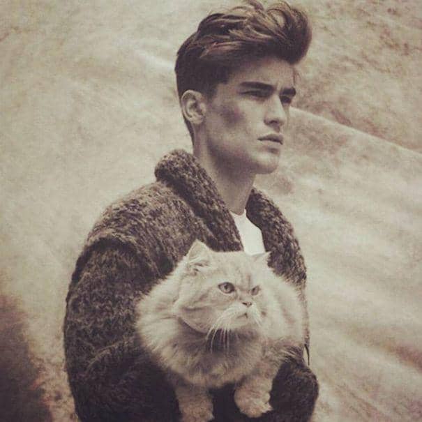 http://cdn.idntimes.com/content-images/post/20160112/hot-dudes-with-kittens-instagram-421-605-af1dbefa772befe9777d6580fc15e939.jpg