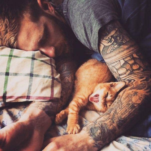 http://cdn.idntimes.com/content-images/post/20160112/hot-dudes-with-kittens-instagram-431-605-a3a76778d946df7b1c817c3a4a902d6b.jpg