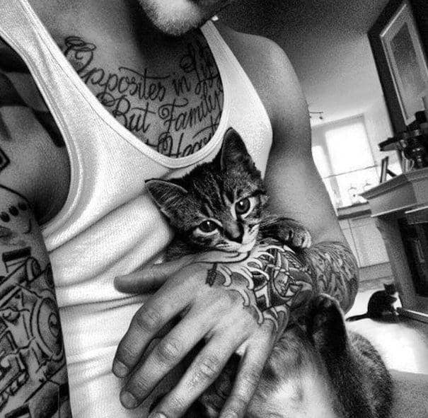 http://cdn.idntimes.com/content-images/post/20160112/hot-dudes-with-kittens-instagram-491-605-3c206477979c687be5a5bbafe6316339.jpg