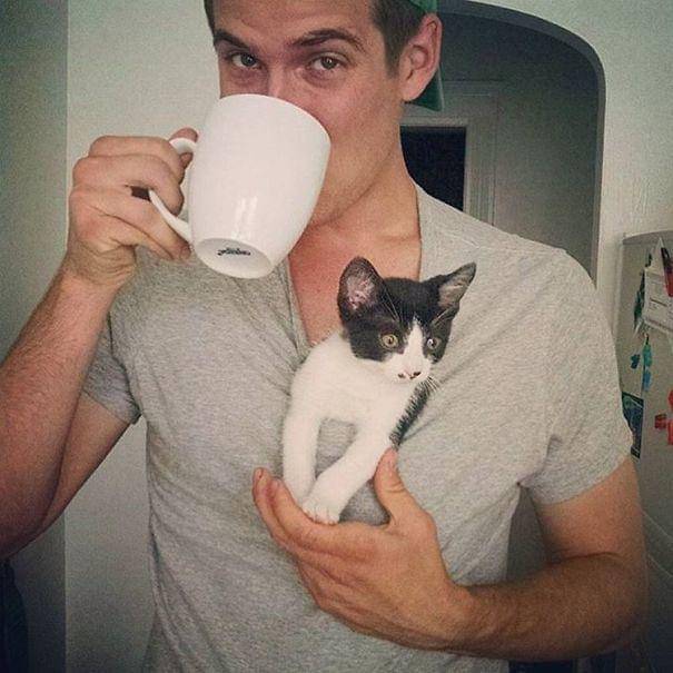 http://cdn.idntimes.com/content-images/post/20160112/hot-dudes-with-kittens-instagram-50-605-bff493635f5b4c3c556f723a662b2dc2.jpg