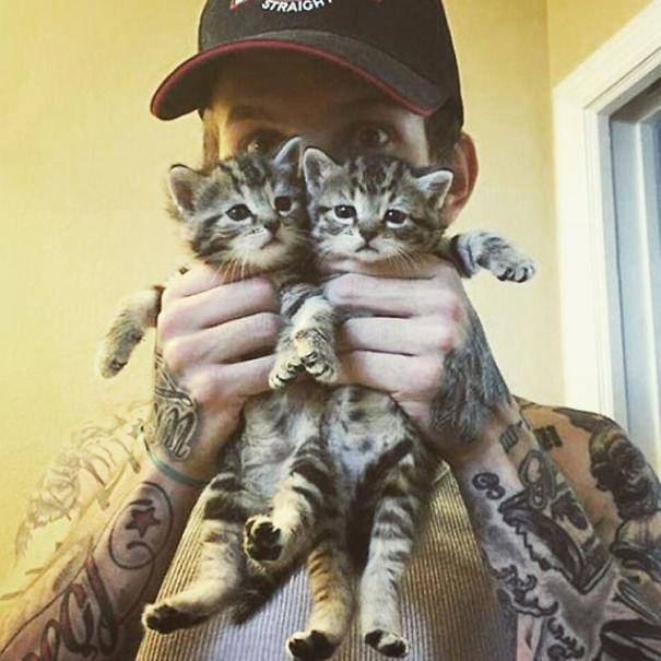 http://cdn.idntimes.com/content-images/post/20160112/hot-dudes-with-kittens-instagram-72-605-4229f03754613a0bd97d36ae4b6fb9d0.jpg